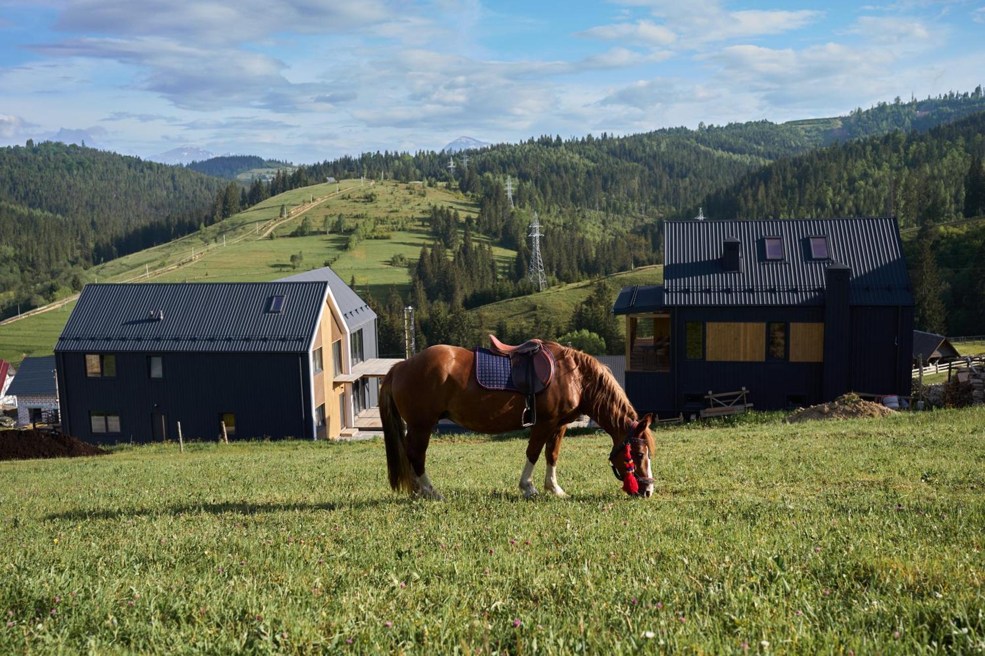 Шале Green Land Bukovel Exterior foto